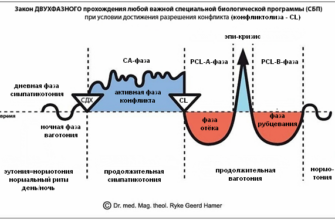 Германская Новая Медицина® (GNM)