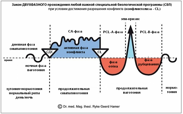 Германская Новая Медицина® (GNM)